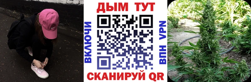 Канабис семена Лосино-Петровский